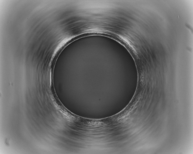 X0000095521323200712281451