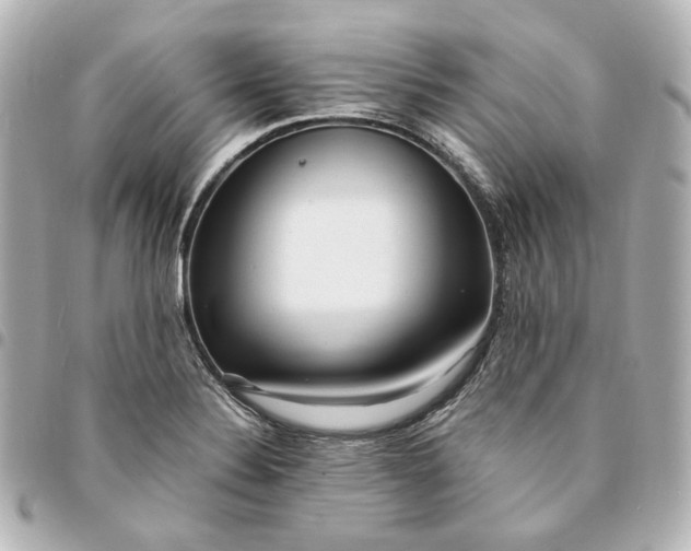 X0000095521324200712281451