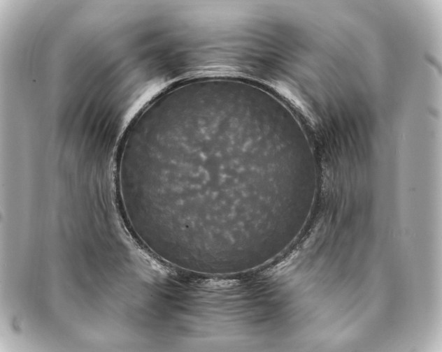 X0000095521325200712281452