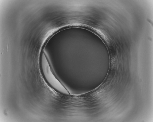 X0000095521327200712281452