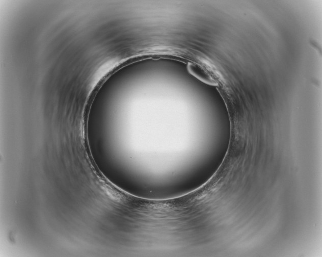 X0000095521328200712281452