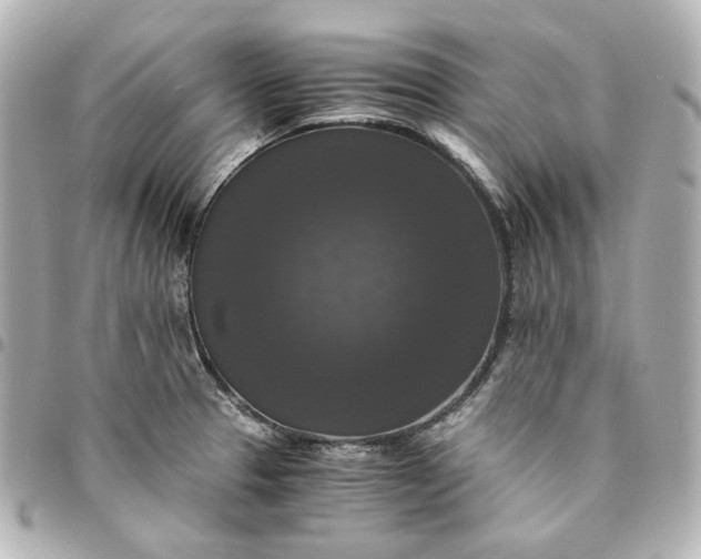 X0000095521329200712281452