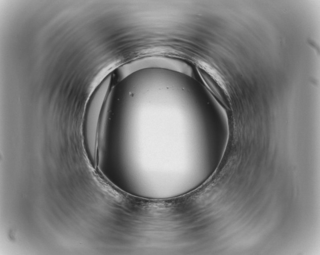 X0000095521330200712281452