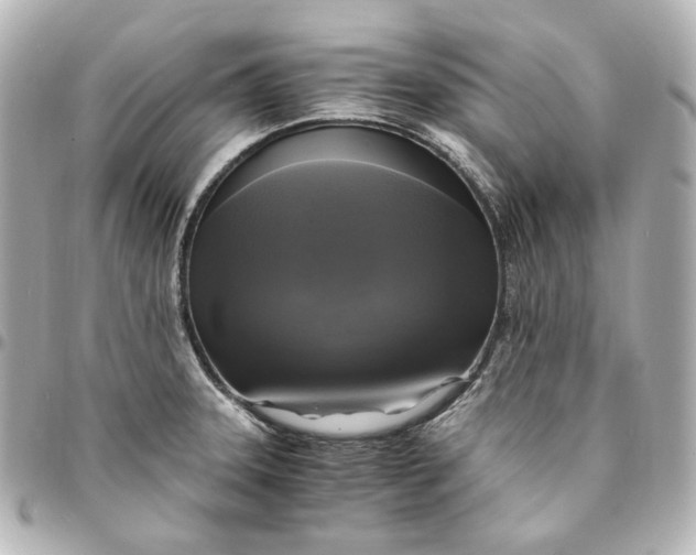 X0000095521331200712281452