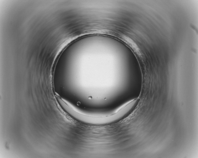 X0000095521332200712281452