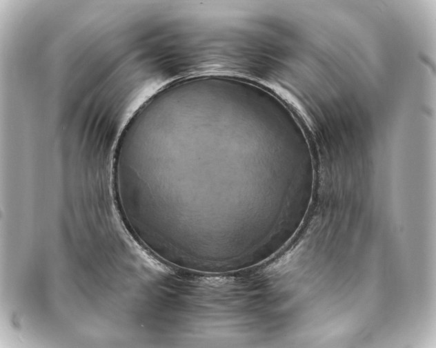 X0000095521333200712281452