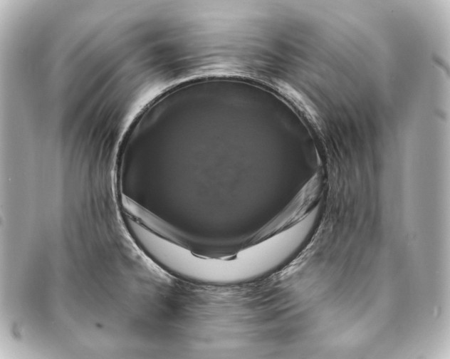 X0000095521334200712281452