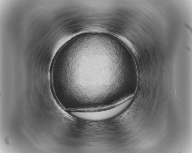 X0000095521335200712281452