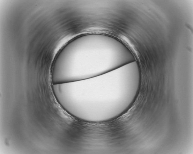 X0000095521336200712281452