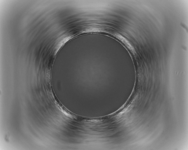 X0000095521337200712281452