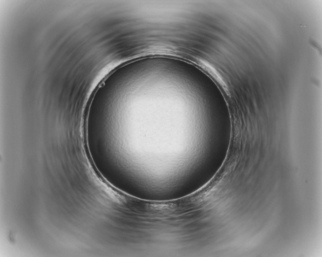 X0000095521339200712281452