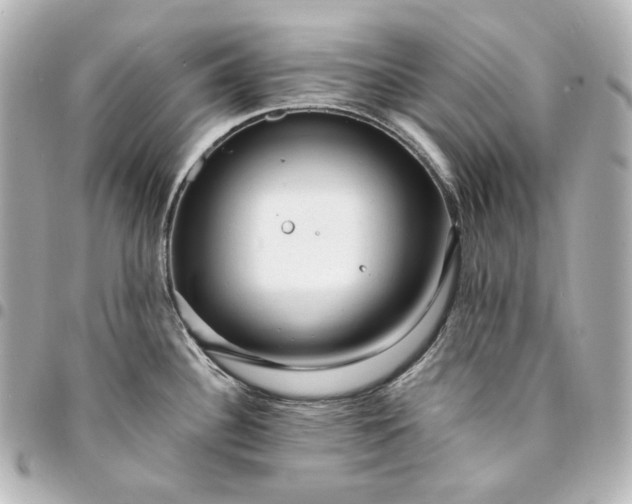 X0000095521340200712281452