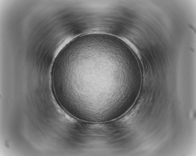 X0000095521341200712281452