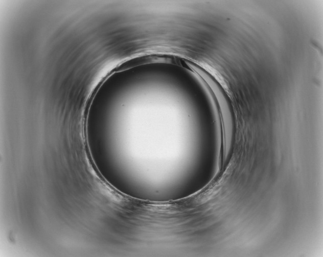 X0000095521342200712281452