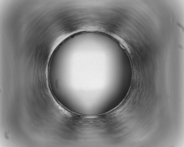 X0000095521343200712281452