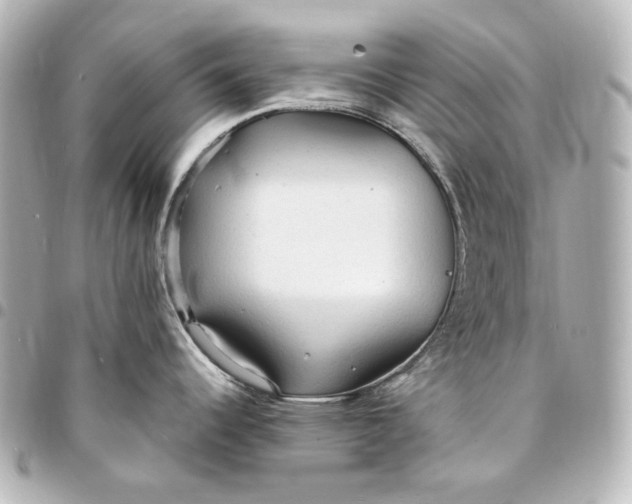 X0000095521344200712281452