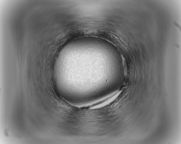 X0000095521345200712281451