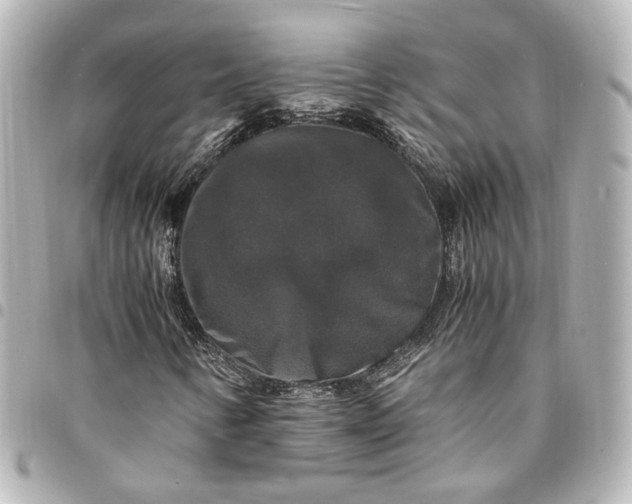 X0000095521346200712281451