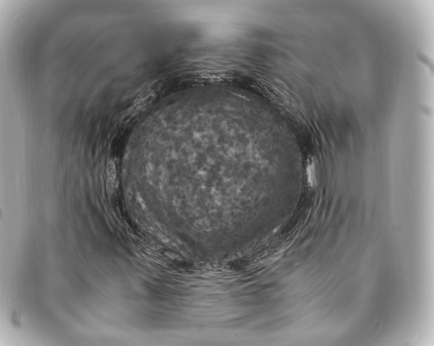 X0000095521347200712281451