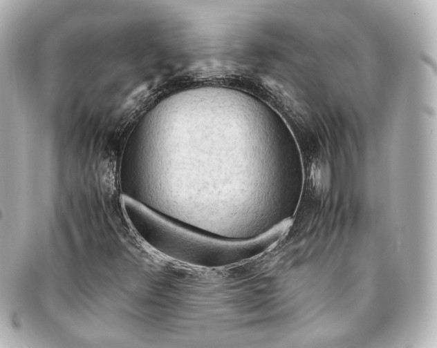 X0000095521348200712281451