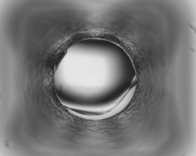 X0000095521349200712281451