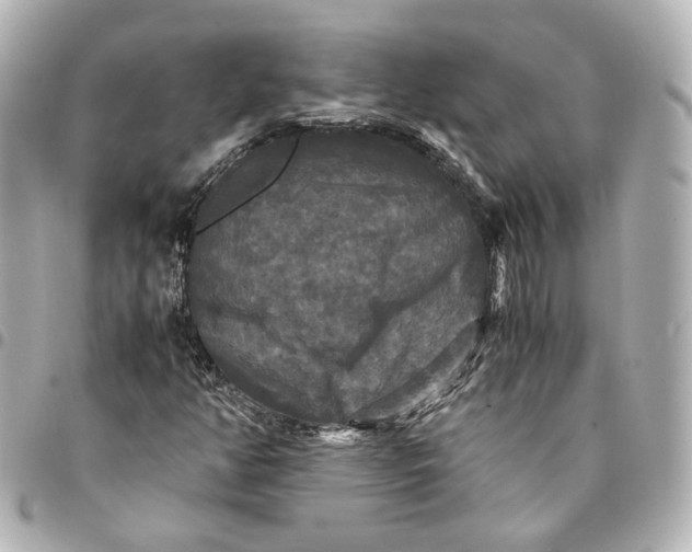 X0000095521350200712281451