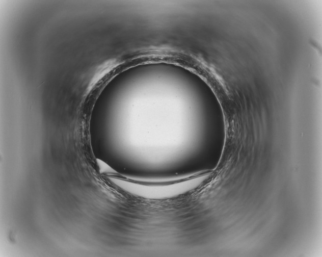 X0000095521352200712281451