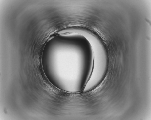 X0000095521353200712281451