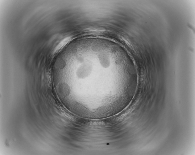 X0000095521354200712281451