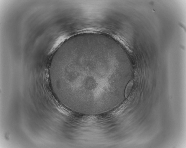 X0000095521355200712281451