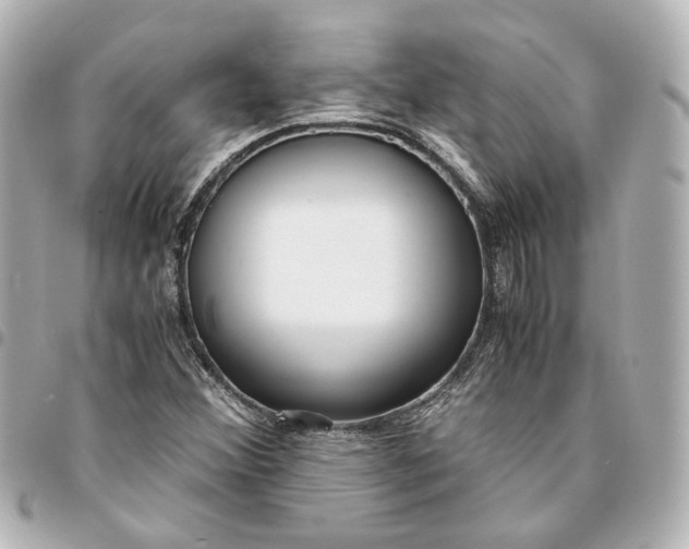 X0000095521356200712281451