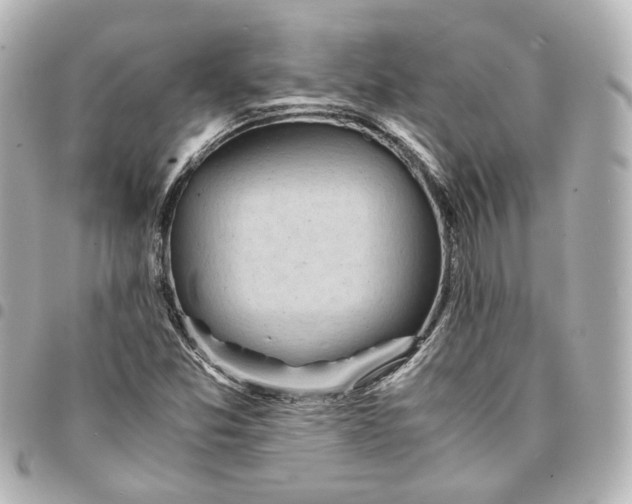 X0000095521357200712281451