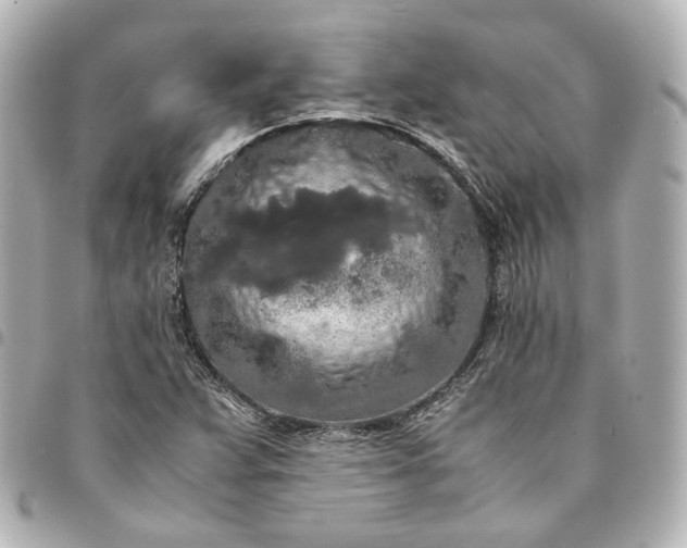 X0000095521359200712281451