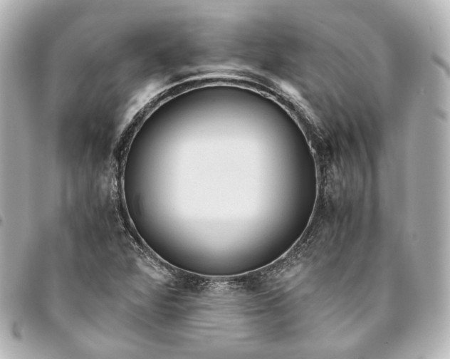 X0000095521360200712281451