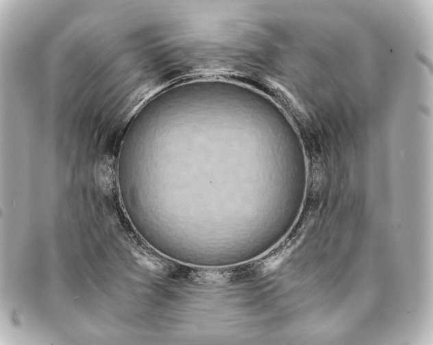 X0000095521361200712281451