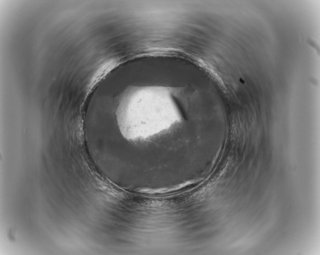 X0000095521362200712281451