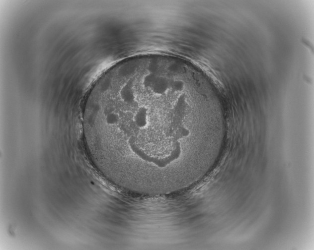 X0000095521363200712281451