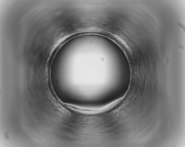 X0000095521364200712281451