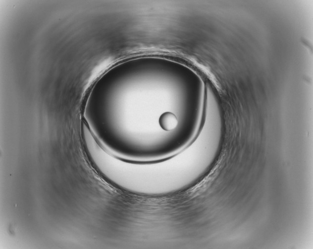 X0000095521365200712281451