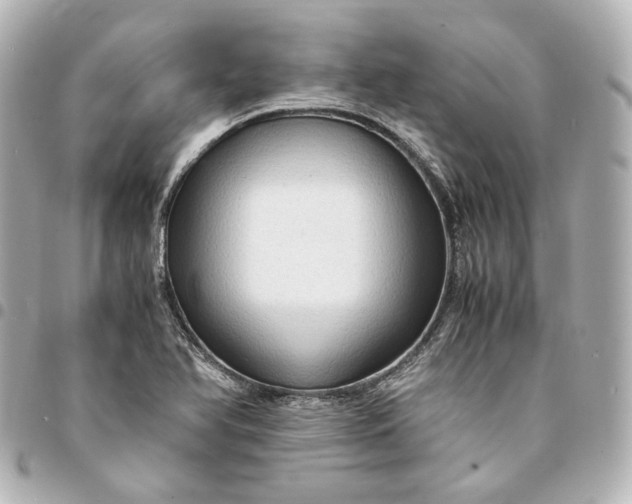 X0000095521366200712281451