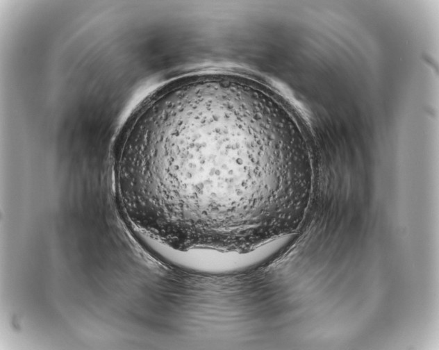 X0000095521368200712281451