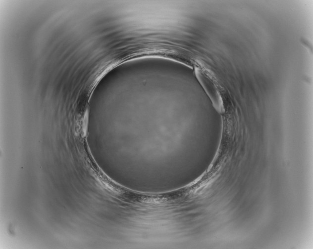 X0000095521369200712281451