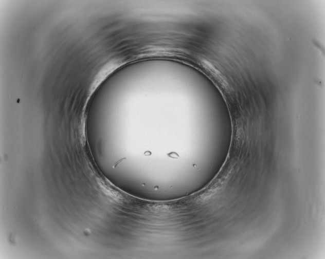 X0000095521370200712281451