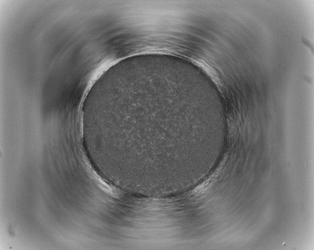 X0000095521371200712281451