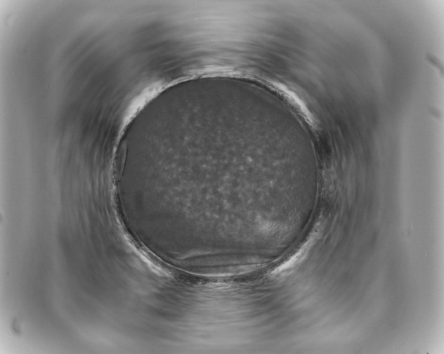 X0000095521373200712281451