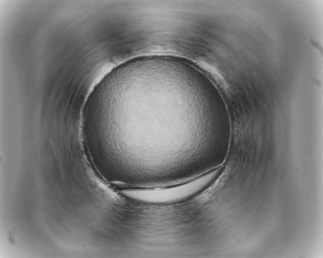 X0000095521374200712281451