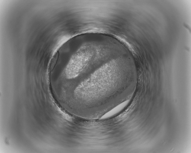 X0000095521375200712281451