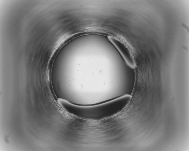 X0000095521376200712281451