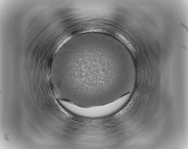 X0000095521377200712281450