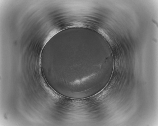 X0000095521378200712281450